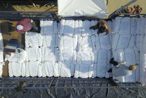 社會 產自扶貧車間的超千噸滌綸縫紉線遠銷海外